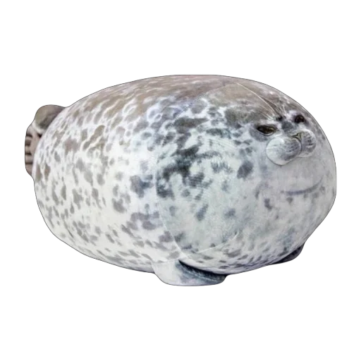 ешьо чуточкк тюленей от