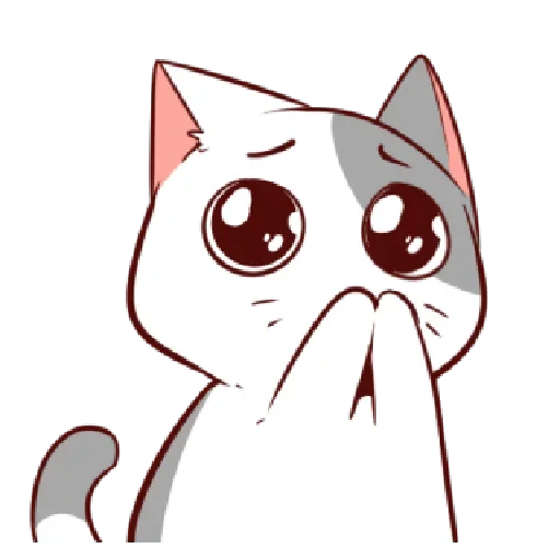 || Complete Pack Pus Nyangami