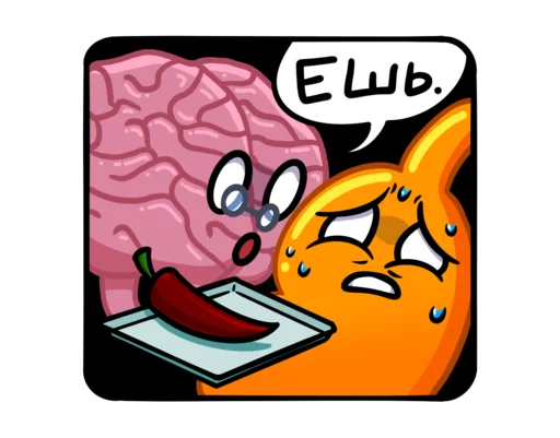 Наше Тело - NDR - Набор 2