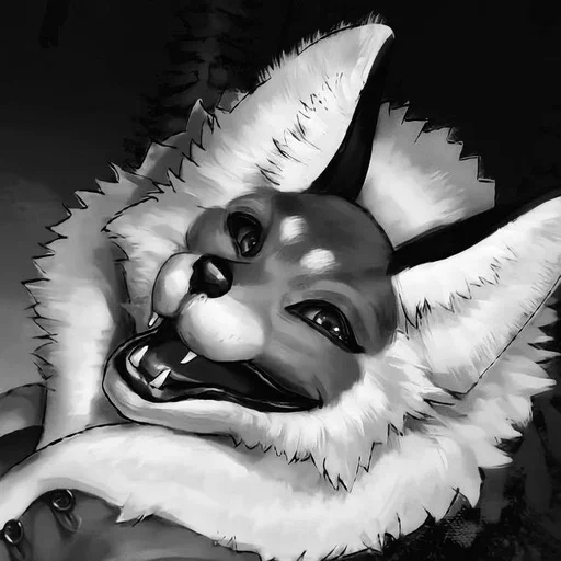 ꒰ 🦊 ꒱ лиса алиса ഒּ от :