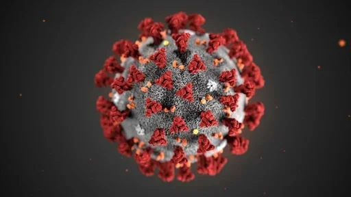 Coronavirus