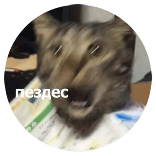 😱