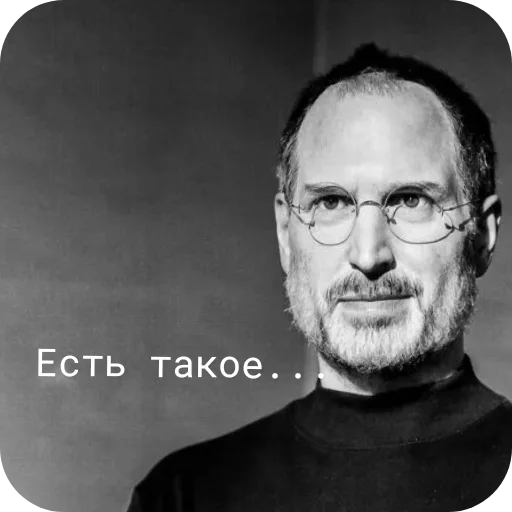 Стикер 🖼 из набора Стив Хуйс