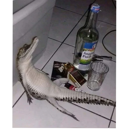 Стикер 😪 из набора goat.rain
