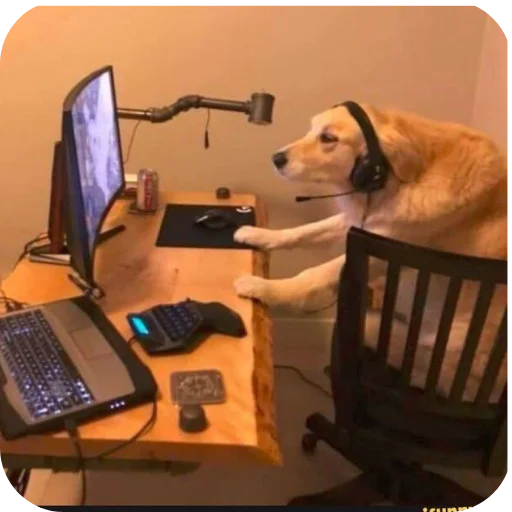 Стикер 🎮 из набора goat.rain