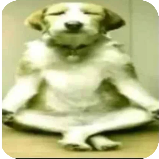 Стикер 🧘‍♂ из набора goat.rain
