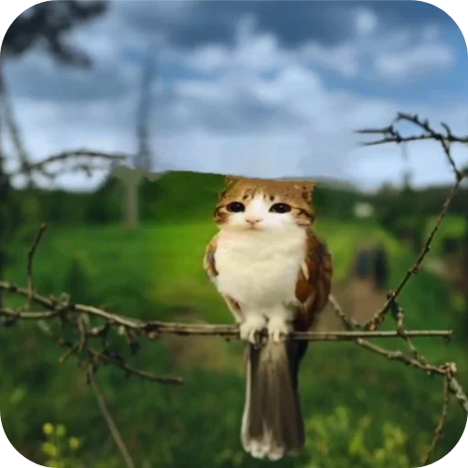 Стикер 🙂 из набора goat.rain