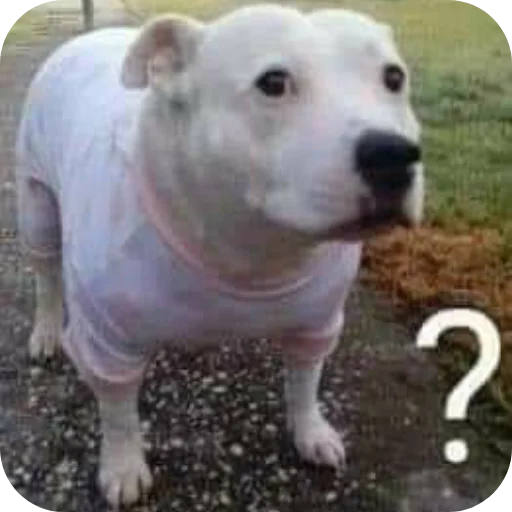 Стикер 🤔 из набора goat.rain