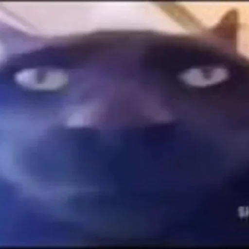Стикер 😦 из набора goat.rain