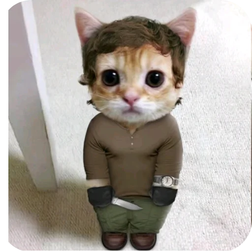Стикер 🐱 из набора goat.rain