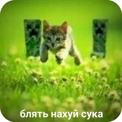 Больше стиков тут: