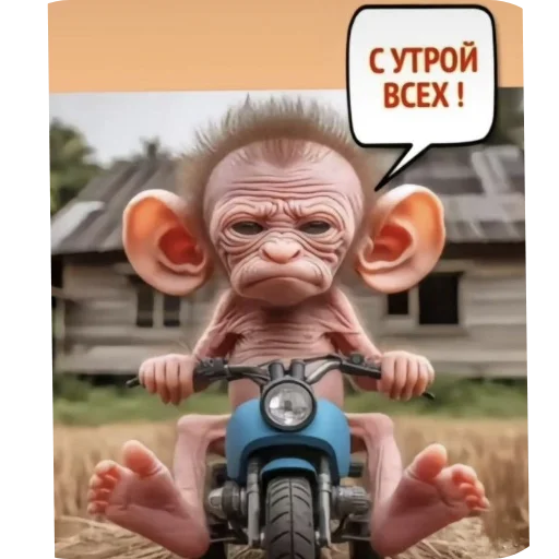 Стикер ✋ из набора Больше стикеров 👉