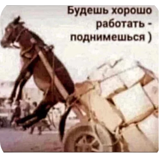 Стикер 🚗 из набора Больше стикеров 👉