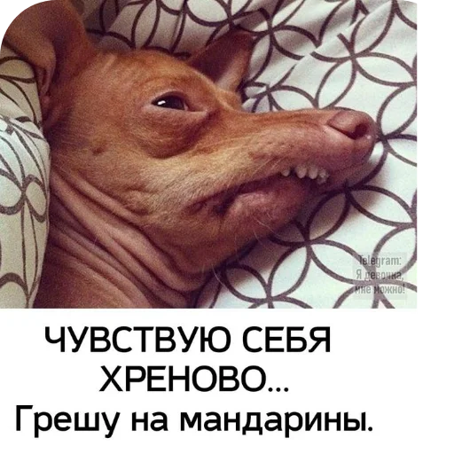 Стикер 🖼 из набора Больше стикеров 👉