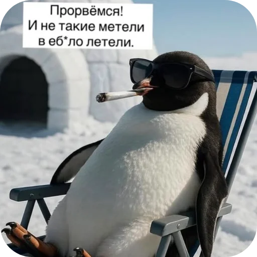 Стикер 🐦 из набора Больше стикеров 👉
