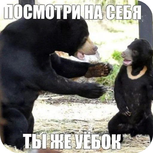 Стикер 🖼 из набора Больше стикеров 👉