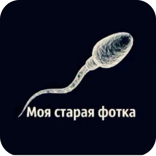 Стикер 🐦 из набора Больше стикеров 👉