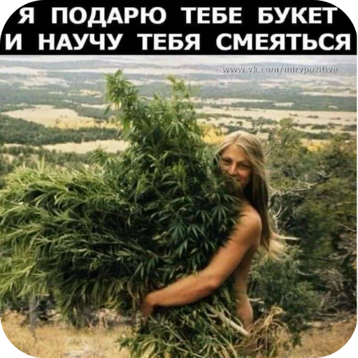Стикер 🖼 из набора Больше стикеров 👉