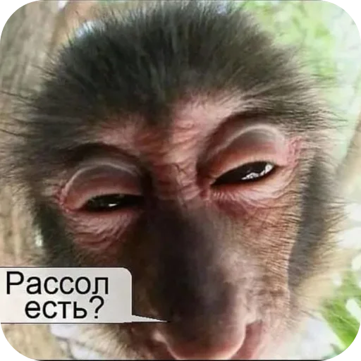 Стикер 🤲 из набора Больше стикеров 👉
