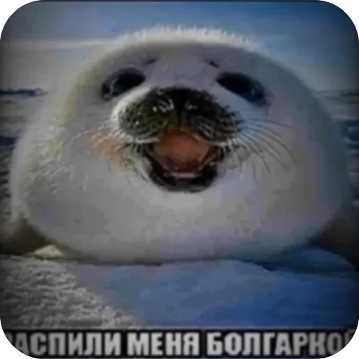 Больше стиков тут: