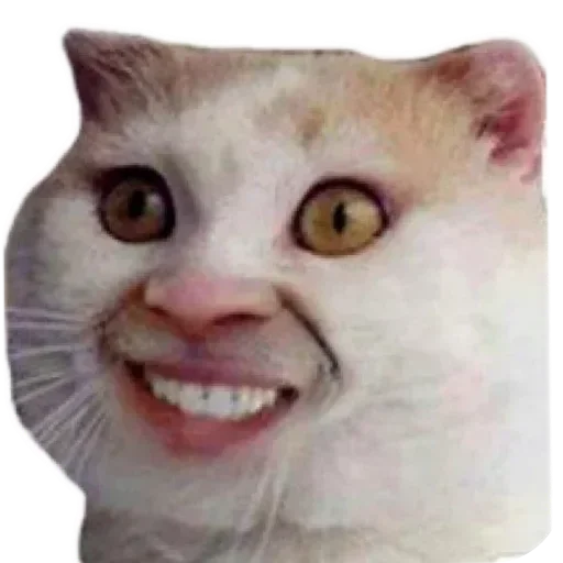 :)